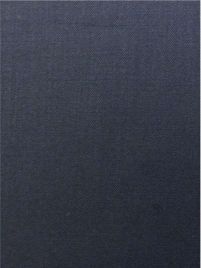 GZ-SGDE 西裝布020 正面照